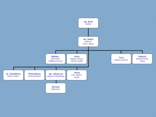 organizační struktura 2022.PNG